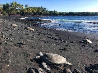 Oceanfront Condo to Enjoy Sea Breeze and Sunset on Lanai which hangs over the ocean!! - Hale Kona Kai 305 - Kailua-Kona - 8