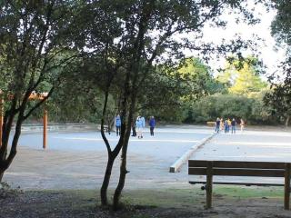 Studio rénové près de la plage et forêt à Notre-Dame-de-Monts - 2 pers - Balcon et WIFI - FR-1-540-134 - Notre-Dame-de-Monts - 1