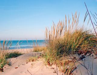 Modern 2BR 2BA New Build Condo with Garage & Patio - 5