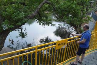 Mazhavilkadu ForestResort & Restaurant - Kozhikode - 1