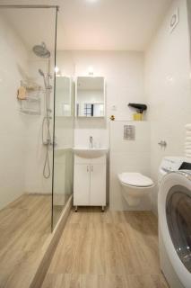 Spacious luxury apartment ”Nelly” - Novi Sad - 6