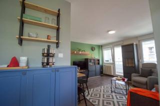 Spacious luxury apartment ”Nelly” - Novi Sad - 4