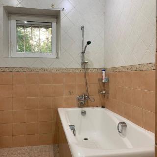 Big family apartment in the center - 1