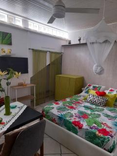 Studio charmant avec vue sur la mer à Fort-de-France - 30 m² - Fort-de-France - 2