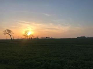 Ferienwohnungen Rügen mit Hund - - 2