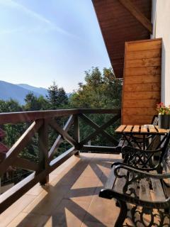 Casa Larisa Antonia Apartments - Sinaia - 3