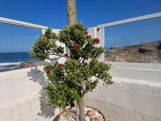CASA MAR DA LAXE - Rosal - 7