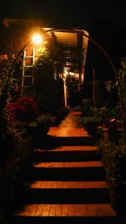 De Huts Kodaikanal - Kodaikānāl - 4