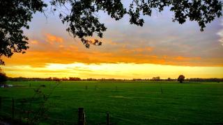De Boomklever - Zorgvlied - 5