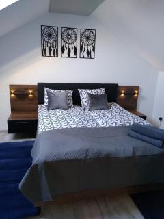 Apartamenty MAX blisko Energylandia - Ryczów - 5