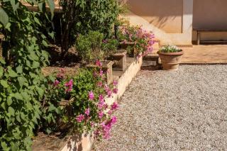 Apartment in nature,10min from city - Perugia - 7