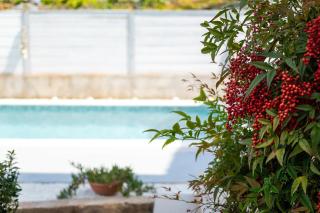 Apartment Adriana on peaceful location with pool - Pola (Pula) - 1