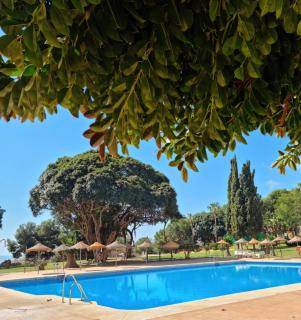 Lemon Tree Apartment - Benalmádena - 0