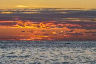 Casa Paraíso - Little Corn Island - Little Corn Island - 9