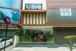 Olive Hotel HAL 2nd Stage by Embassy Group - Bangalore - 8