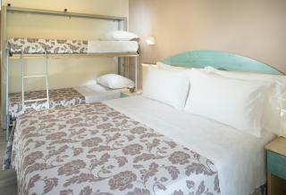 Park Hotel Pineta - Cervia - 8