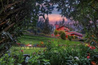 Willow Hill by Nature Resorts and Stays - Ooty - 0
