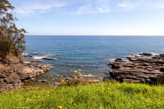 Costa vasca - - 0