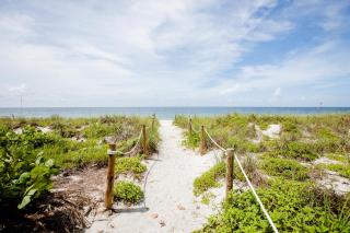 The Shore Bird - Captiva - 6