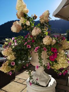 Hotel Garni Zimmermann - Reith bei Kitzbühel - 9