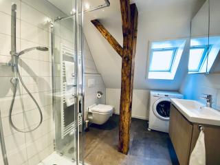 Business Apartment ZIMMERzuVERMIETEN in Wangen an der Aare - Wangen an der Aare - 3