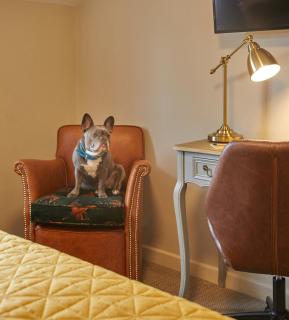 Full Moon Inn Rudge - Frome - 7