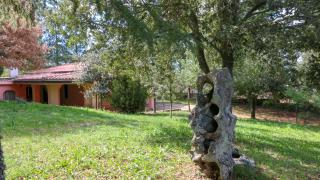 Welcomely - Country House Perda e Testa - Mamoiada - 9