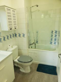 Appartement avec jardin privatif - Albi - 2