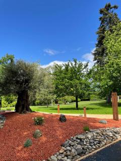 Hôtel & Restaurant - Le Manoir des Cèdres - piscine extérieure et climatisation - 3