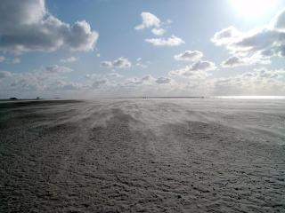 Schiffskabine SPO - Sankt Peter-Ording - 2