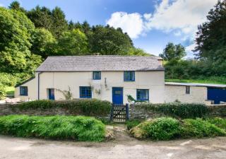 Merlin Cottage - Saint Winnow - 0