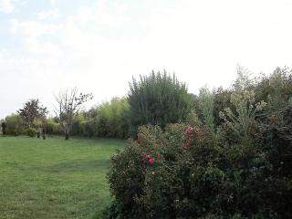 Maison individ. au calme, 1,5 km plage, grd terrain arboré, proche commerces, 1 ch., TV câble, animaux ok. - FR-1-22-238 - 8
