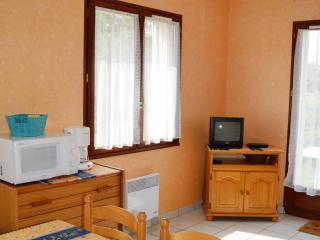 Maison individ. au calme, 1,5 km plage, grd terrain arboré, proche commerces, 1 ch., TV câble, animaux ok. - FR-1-22-238 - 2