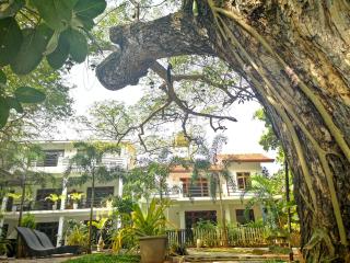 Serendib Village Guest House - Negombo - 5