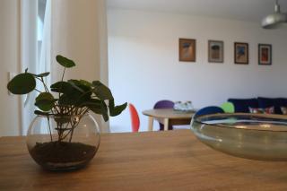 Uzès centre la TERRASSE des CAPUCINES avec Garage privée - 7