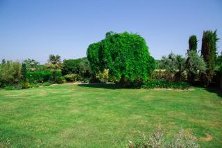 B&B Isa - Loreto - 4