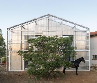 Anonima Agricola - Orbetello - 9