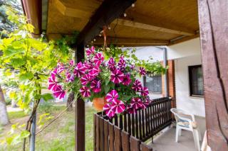 Studio apartman Ivana - Gradište - 9