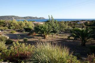GRANDE VILLA TIZZANO A 200 M DE LA PLAGE 18 PERS - Sartène - 9