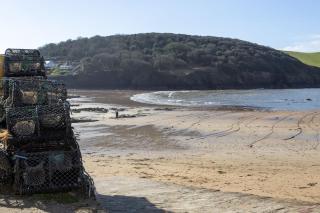 Prawn Cottage - 3