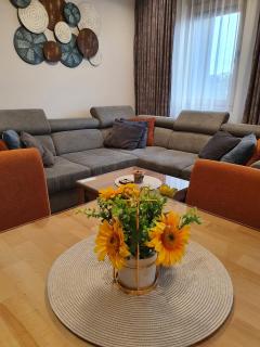 Apartman Thalia Kalman - Zlatibor - 6
