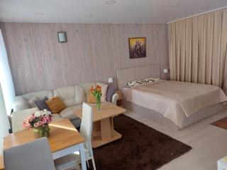 Nida guesthouse at Loreta - Nida - 7