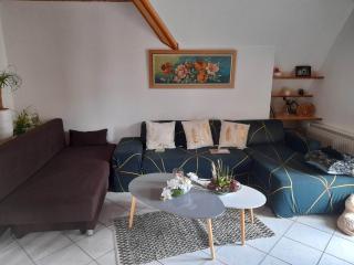 Gîte Le Jardin de Hermolsheim. Alsace très spacieux - 8