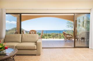 Vida de la Paz 4 - Oceanview Condo, 2BR, just remodeled, Playa Prieta - Potrero - 7