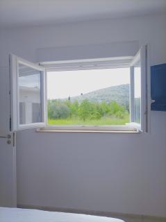 Green paradise - Marina - 6