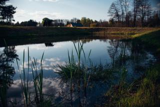 Na Piaskach Agroturystyka Domek pod Lipą - 3