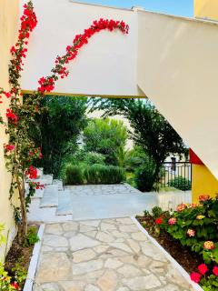 Sunflower Apartments & Studios - Kassiopi - 5