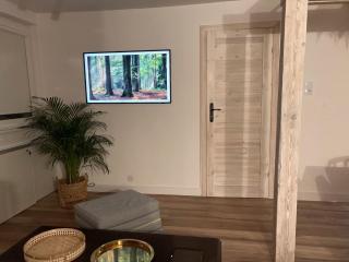 Attic Appart Toruń - 9