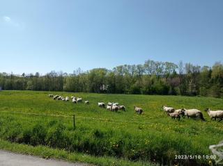 Gospodarstwo Agroturystyczne U Stasików - 6