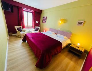 Hostellerie Sainte-Cécile - Florenville - 6